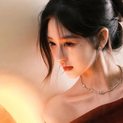 黎明的飞鸟
